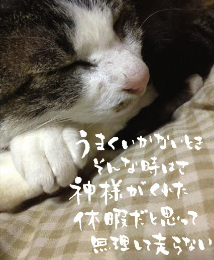 12月24日の誕生日 たろくろ記念日２