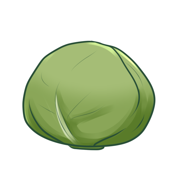 キャベツのイラスト かわいいフリー素材が無料のイラストレイン