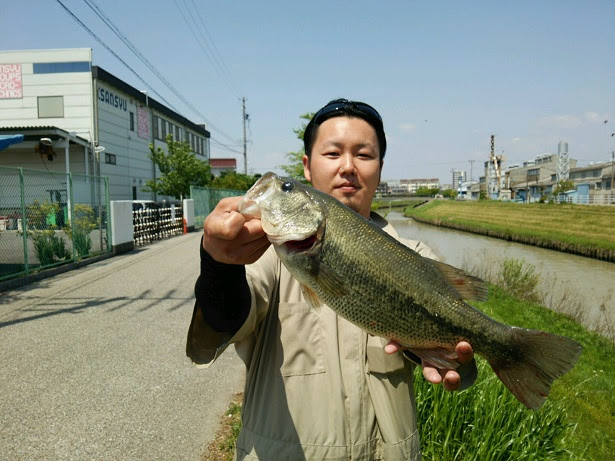 高浜店 裏の川 稗田川 ブラックバス情報 天狗堂スタッフによる釣りブログ