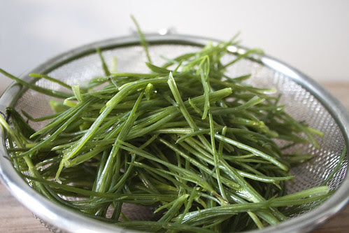 Barba di Frate