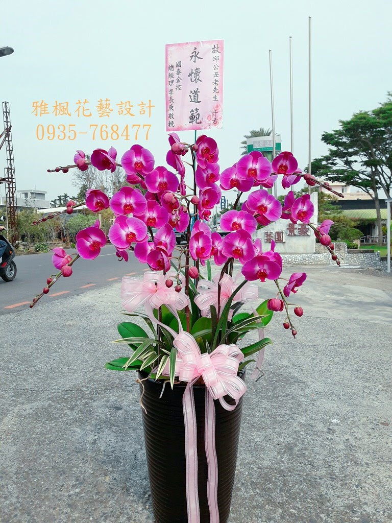 彰化縣花壇鄉花店 蘭花盆栽推薦彰化縣伸港鄉花店
