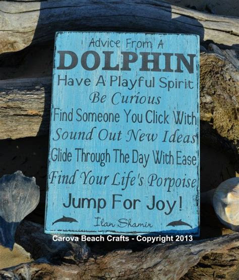 dolphin quotes ideas  pinterest dolphin images