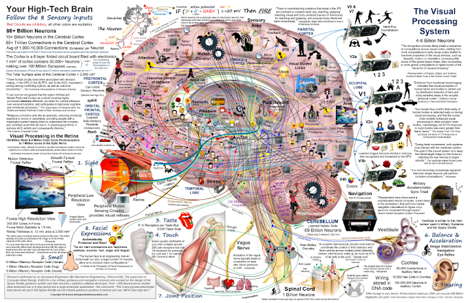 Brain Maps : Introducing Your Hi-Tech Brain