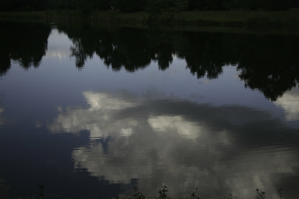 Reedy Pond-18