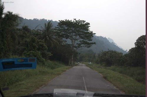 durian_04