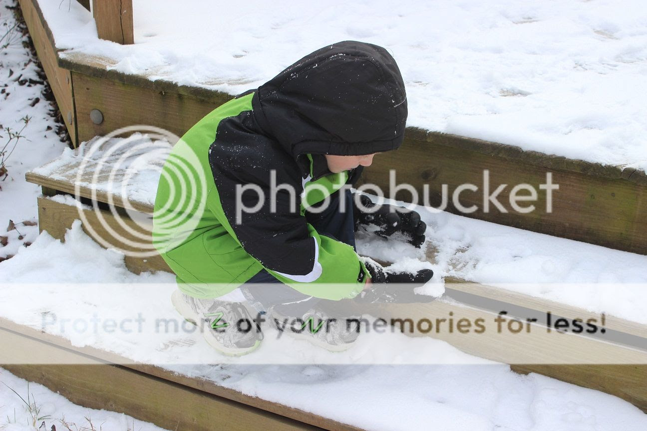  photo snow16_zps61534c8c.jpg