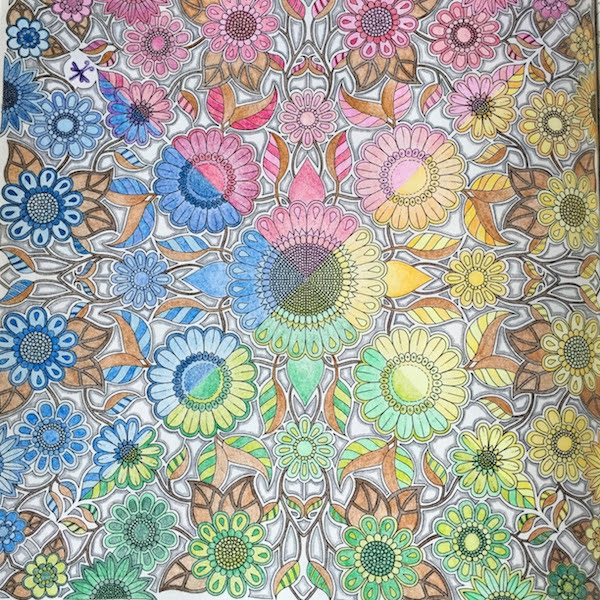 塗り絵本はどのページから塗り始めますか ちづるのもっと ぬりえライフ