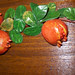 Appendino