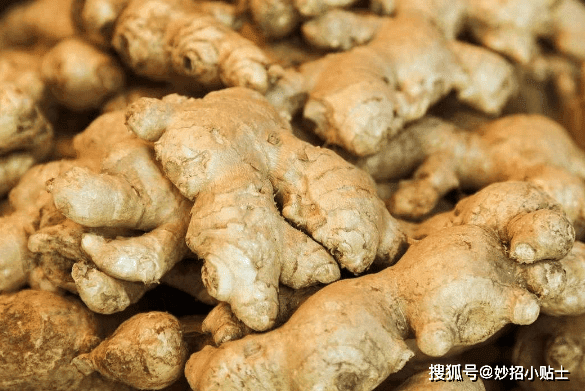 生姜的挑选方法及保存方法 放一年都新鲜 不干不烂 时候