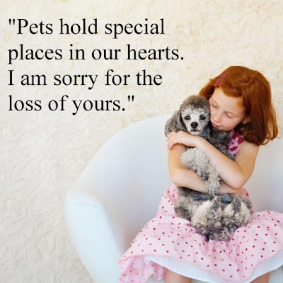 Quotes About Losing A Child Too Soon