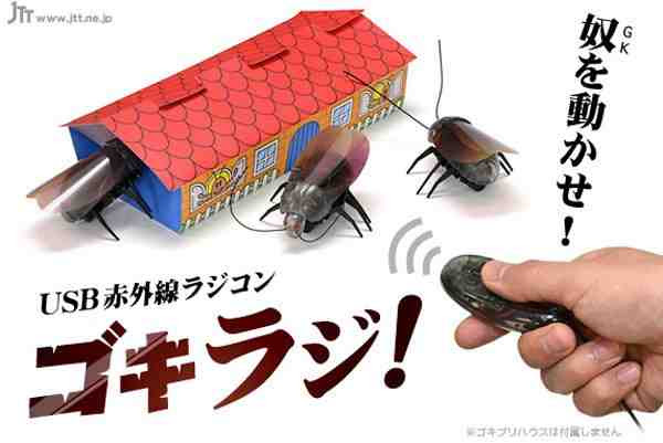 Japan's Remote Controlled Cockroaches