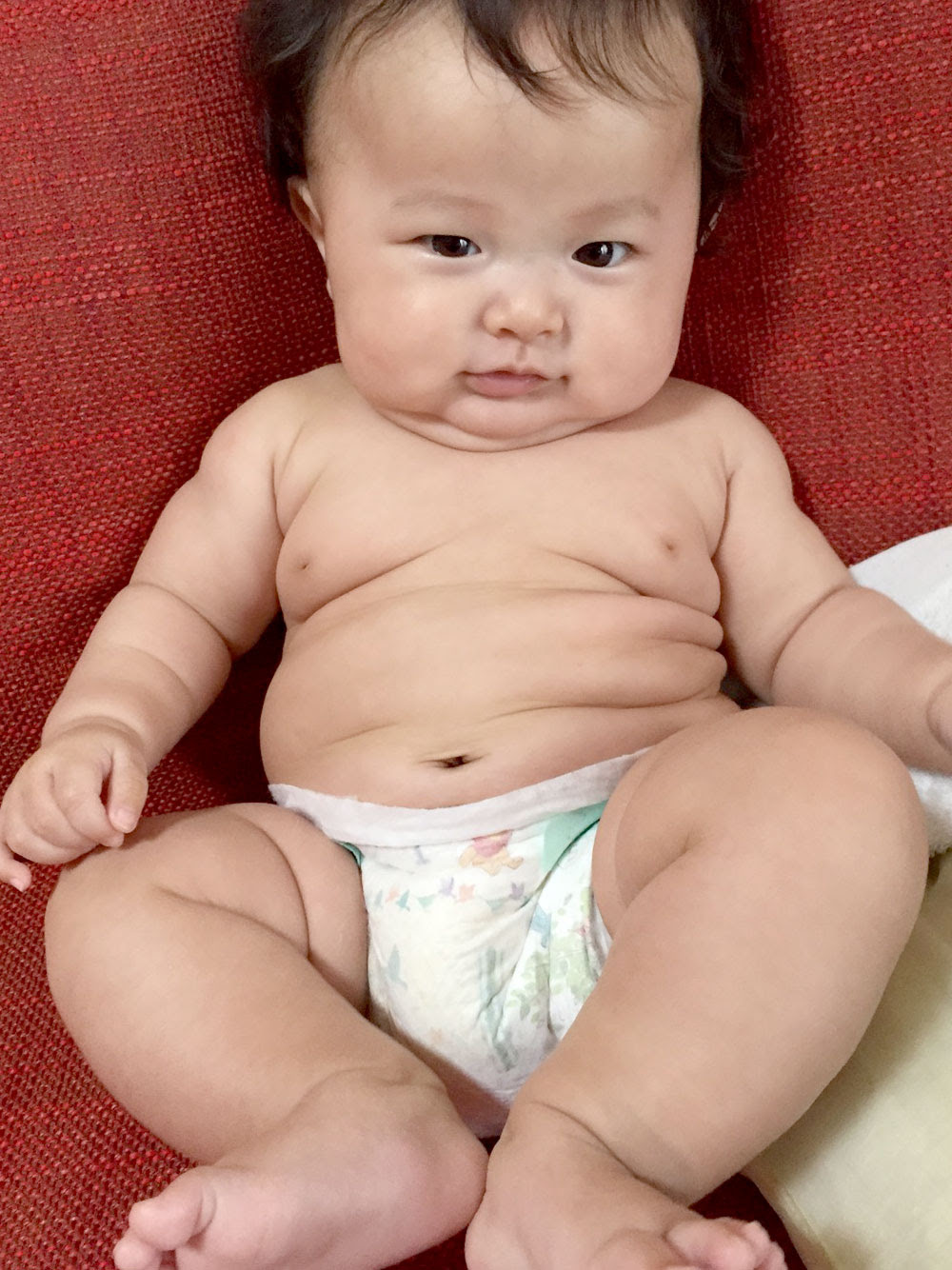 Hi Baby こんにちは赤ちゃん No 10しましま りんたろうくん