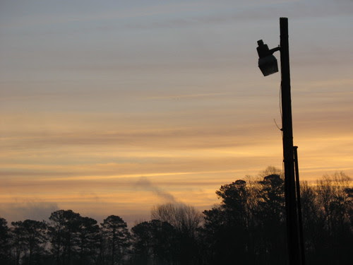 dawn8Jan08-7863
