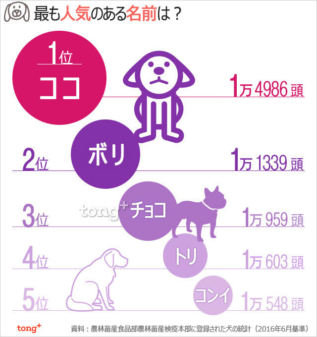 気になるデータ 最も人気のある犬の名前は