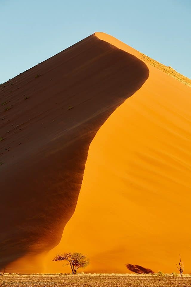 Dune with Tree (from 1.3km)