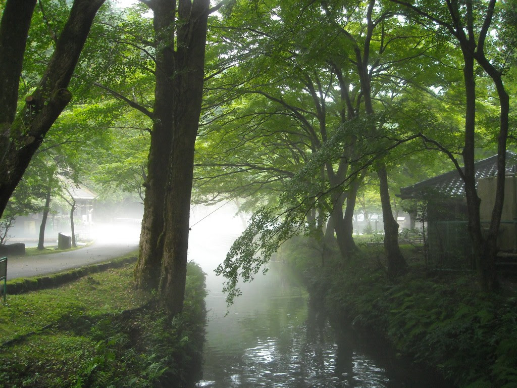 幻想的な風景 滋賀県醒井養鱒場