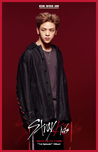 Kim Woo Jin Stray Kids