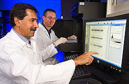 USMARC director and microbiologist review a gel image of PCR results to identify virulence factors in E. coli O157:H7 isolates from cattle hide samples: Click here for full photo caption.