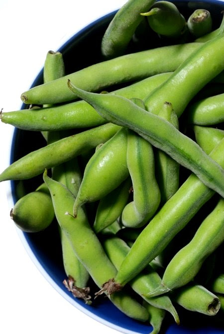 baby broad beans© by Haalo