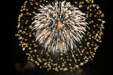 三津浜花火大会２ かたくち鰯の写真日記