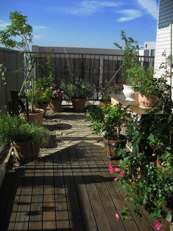 進化する庭 ルーフガーデン そんなに持たない主義 楽天ブログ