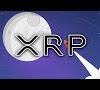 Will Xrp Reach $10 : 21.3% of XRP Holders Think it Will Reach $1,000 in the Future : Steve wynn, a real estate businessman.