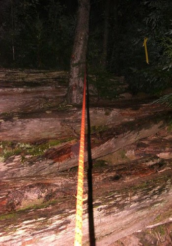 CCC_rope