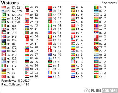 Flag Counter