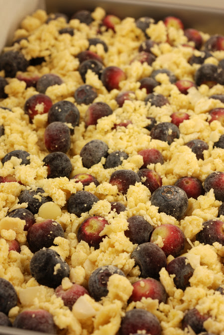 blueberry shortcake crumble© by Haalo