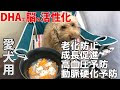 [最も好ましい] シュールストレミング 犬 104335-シュールストレミング 犬