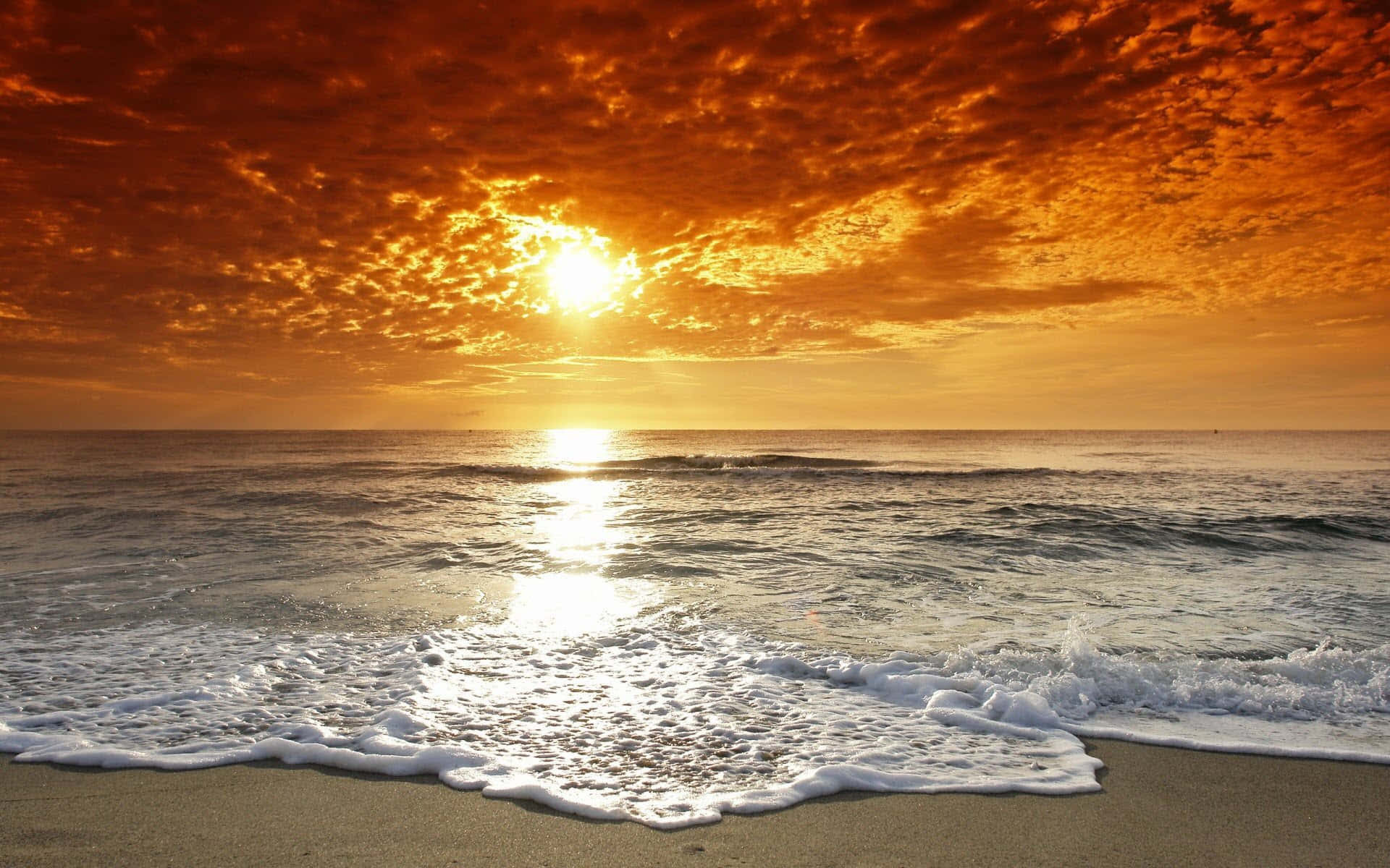 Margarita wallpapers HD free - 277328