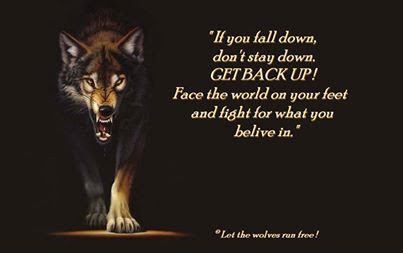 wolf poems - Wolves Photo (34908701) - Fanpop