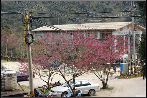 DSC01876