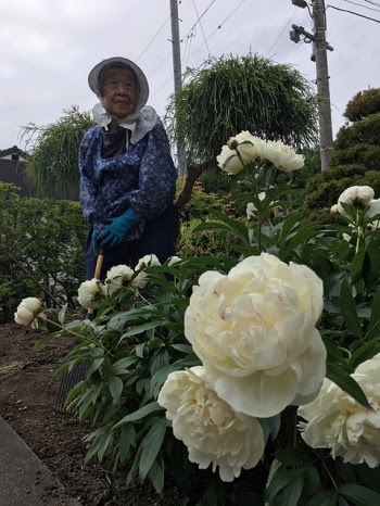 花言葉 恥じらい を先輩に学ぶ まつのやのつま