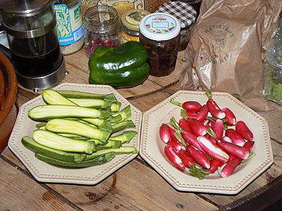 courgettes et radis.jpg