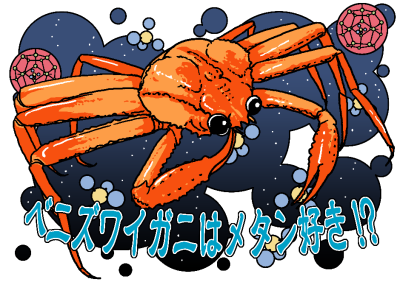 日本海の生物と環境 生物の科学 遺伝 18年1号