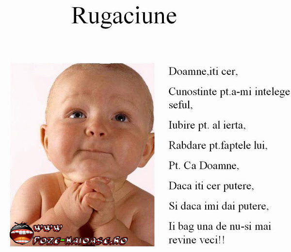 Poze Haioase Poze Haioase Imagini Haioase