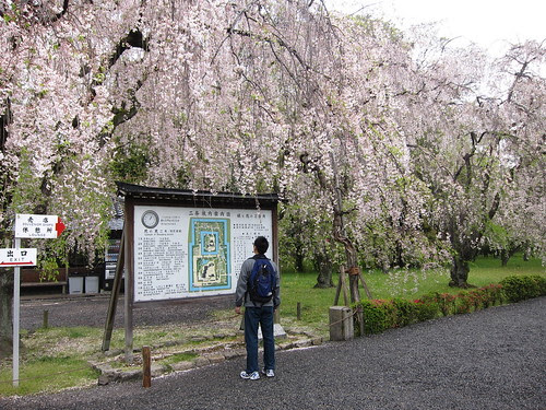Japan 314