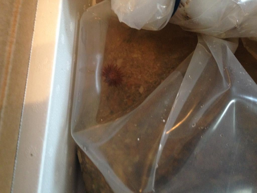 Click image for larger version Name: IMG_0432.jpg Views: N/A Size: 58.8 KB ID: 123794