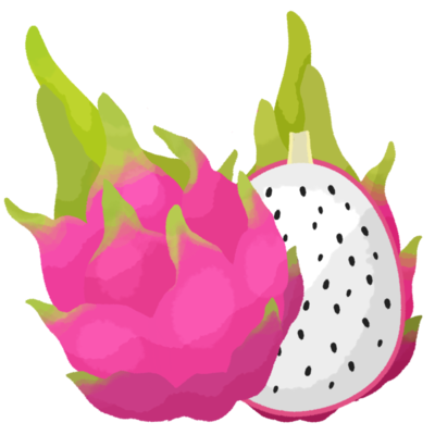 ドラゴンフルーツb 半分カット 白 の無料素材 イラスト沖縄 おきなわ