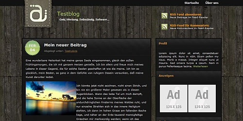 WordPress Theme