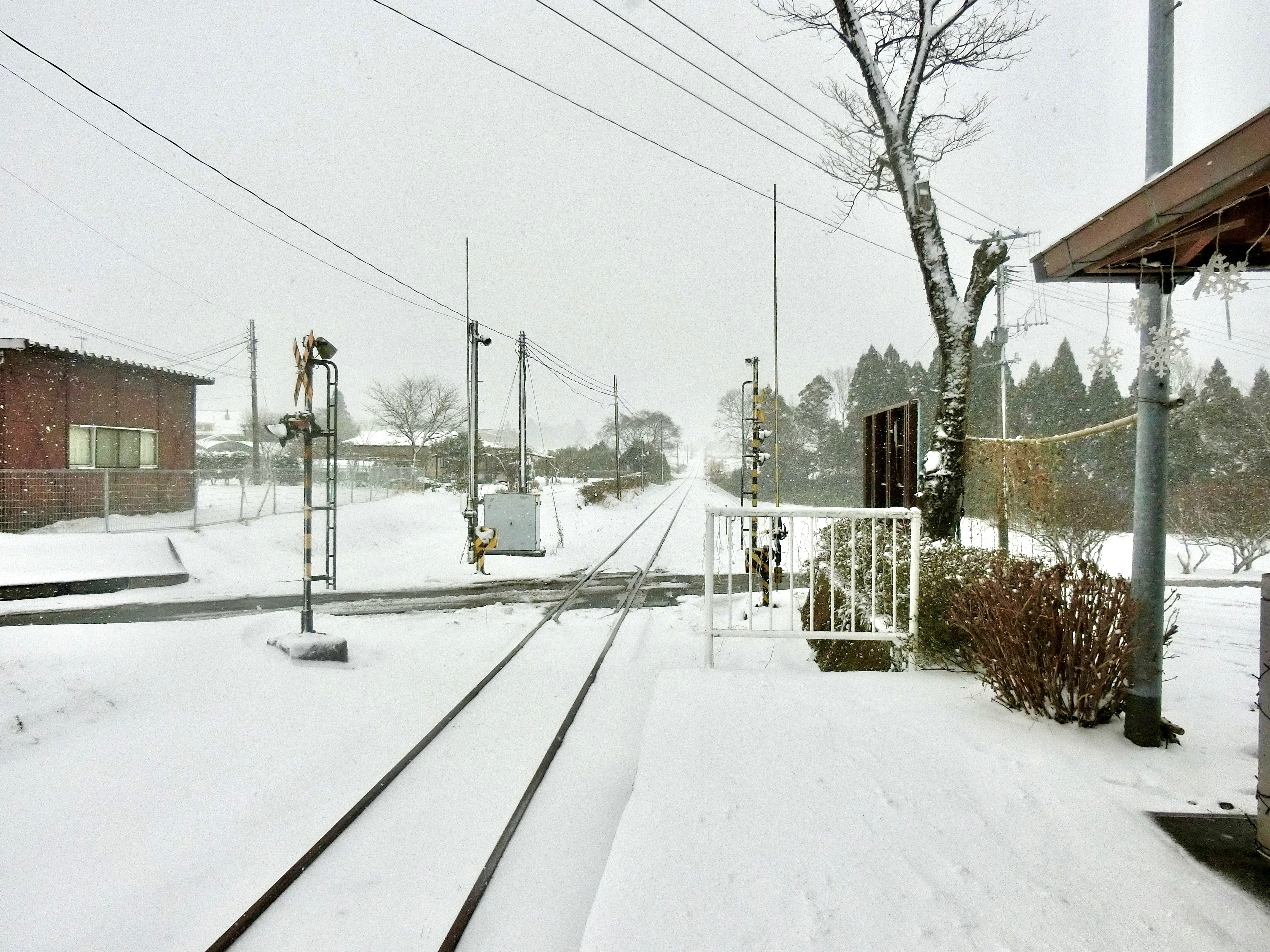 午後の紅茶 Cmロケ地 見晴台駅が鉄道員 ぽっぽや の世界でした トリサポ
