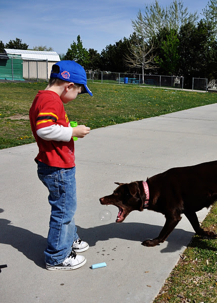 Photo & Video Sharing by SmugMug