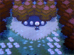 ポケモン ブラック ホワイト 攻略日記 19 七賢人編 どうぶつの森 と過ごす日々