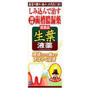 特集高評価 正規品 生葉液薬 ソレイユ店 g １０個セット １０個セット 医薬品 第3類医薬品 生葉液薬 口中 １０個セット 医薬品 医薬部外品
