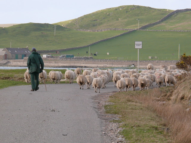 Scotland Traffic Jam | Flickr - Photo Sharing!