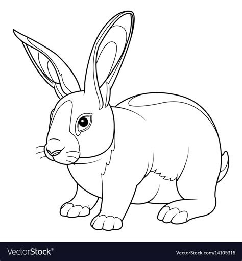  rabbit coloring page royalty free vector image