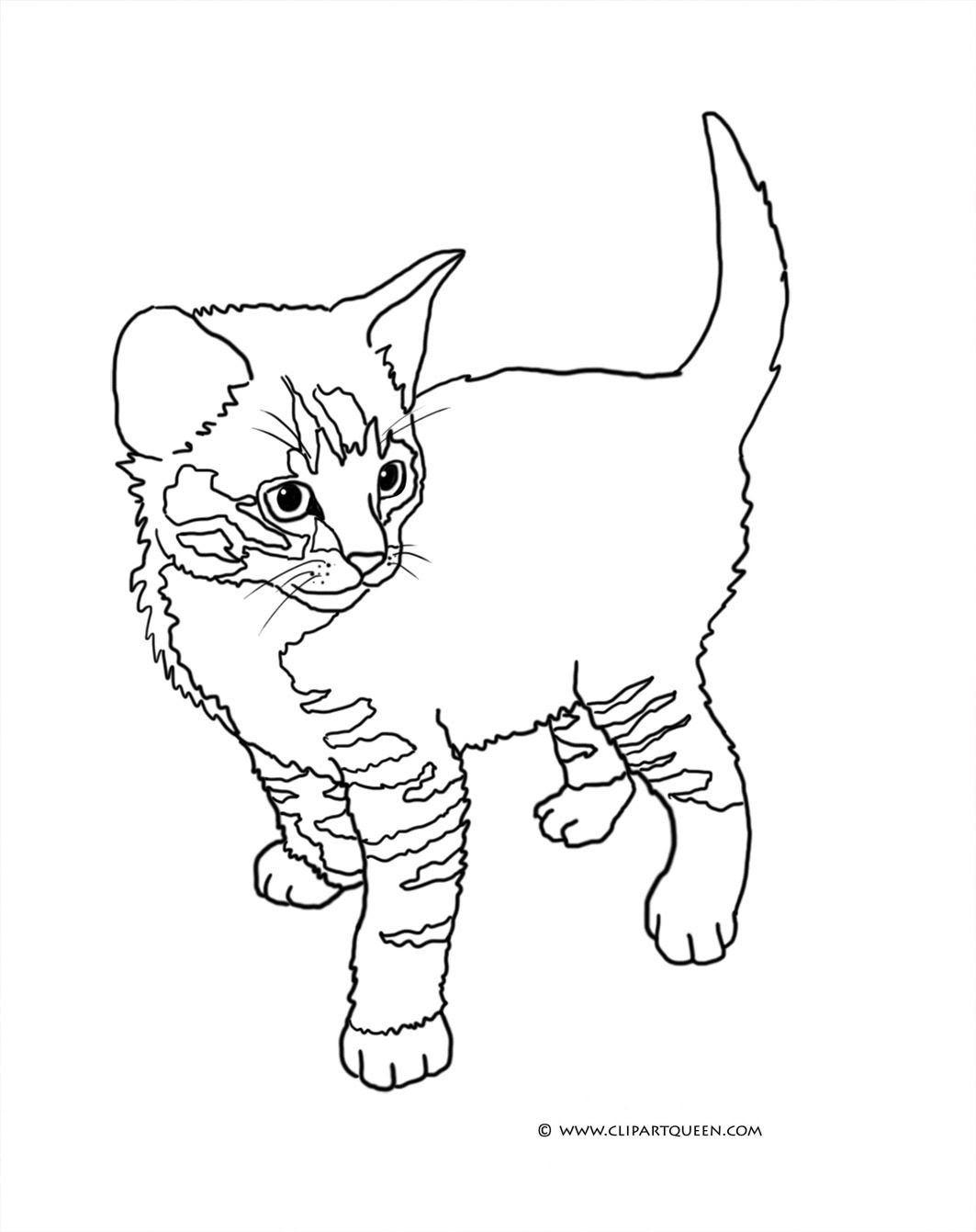 Download Tabby Cat Coloring Pages at GetColorings.com | Free ...