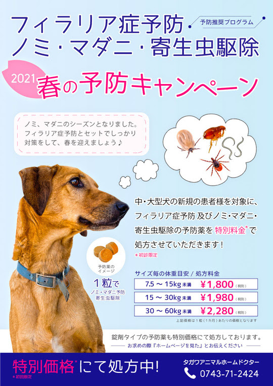 フィラリア症予防 ノミ マダニ 寄生虫駆除薬の特別価格処方のご案内 奈良県生駒市の動物病院 タガワアニマルホームドクター 奈良県生駒市の動物病院 タガワアニマルホームドクター