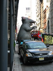 Rat